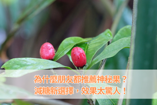 為什麼朋友都在推薦神秘果？減糖新選擇，效果太驚人！