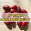 為什麼神秘果會成為糖友圈的爆紅話題？