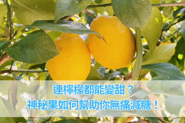 連檸檬都能變甜？神秘果如何幫助你無痛減糖！