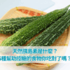 全球糖稅趨勢大揭密：含糖飲料真的該課稅嗎？糖稅政策懶人包帶你秒懂 (1)
