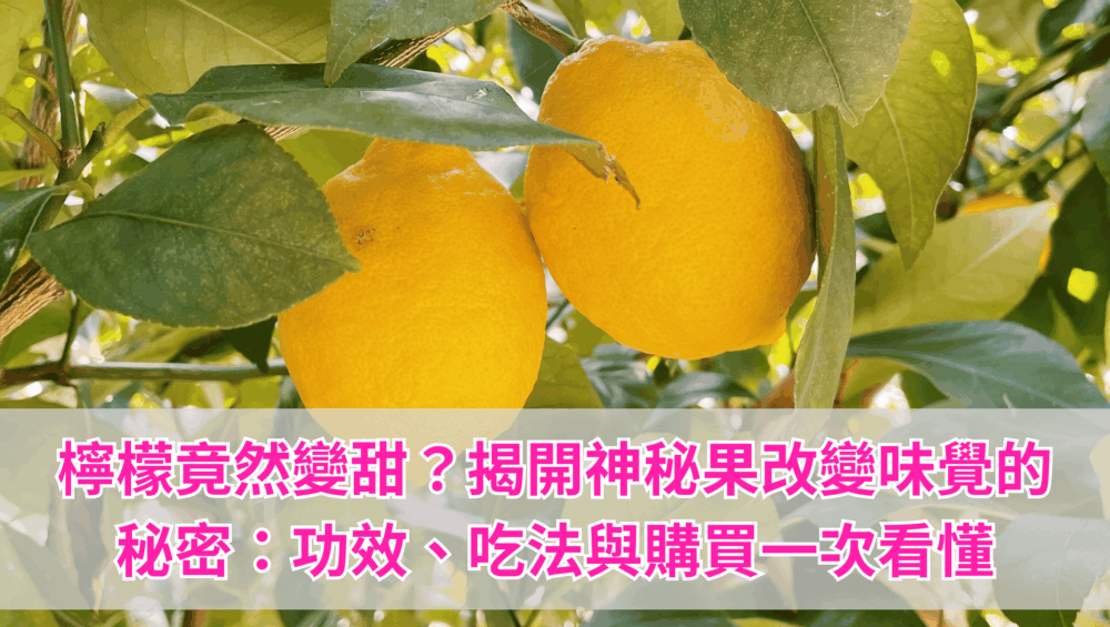 減肥時最怕「嘴饞」？專業營養師推薦：善用神秘果，把酸檸檬變成低卡甜點！