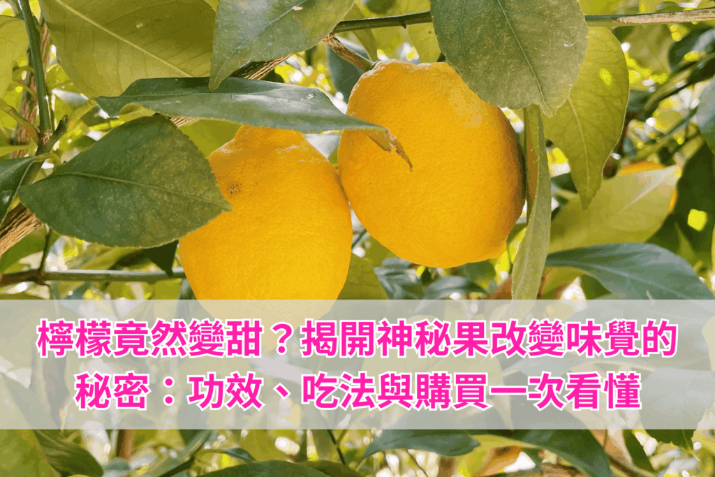 減肥時最怕「嘴饞」？專業營養師推薦：善用神秘果，把酸檸檬變成低卡甜點！